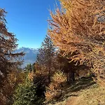 Mayen Unique Et Authentique Domek alpejski