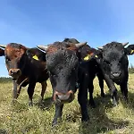 Mayen Unique Et Authentique Domek alpejski Vernamiège