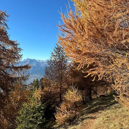 Mayen Unique Et Authentique Domek alpejski