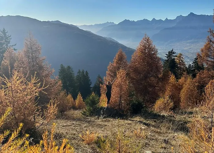 Mayen Unique Et Authentique *