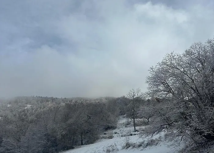 Mayen Unique Et Authentique * Vernamiege